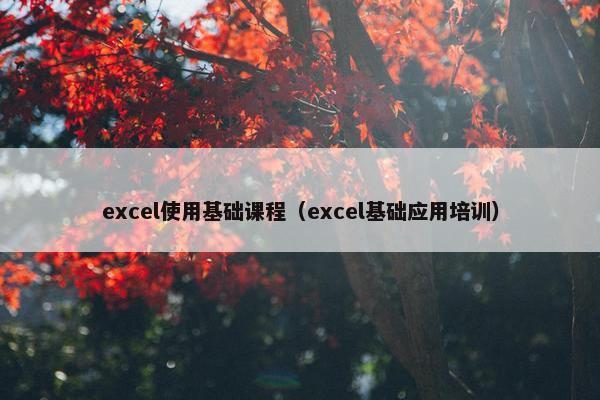 excel使用基础课程（excel基础应用培训）