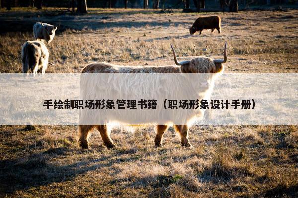 手绘制职场形象管理书籍（职场形象设计手册）