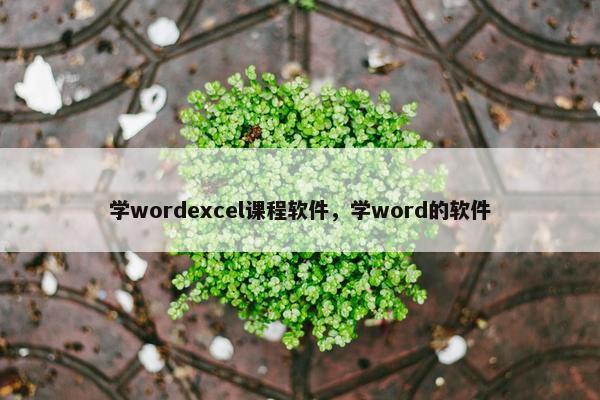 学wordexcel课程软件，学word的软件