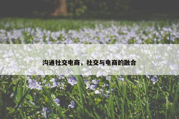 沟通社交电商，社交与电商的融合
