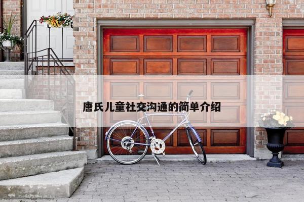 唐氏儿童社交沟通的简单介绍