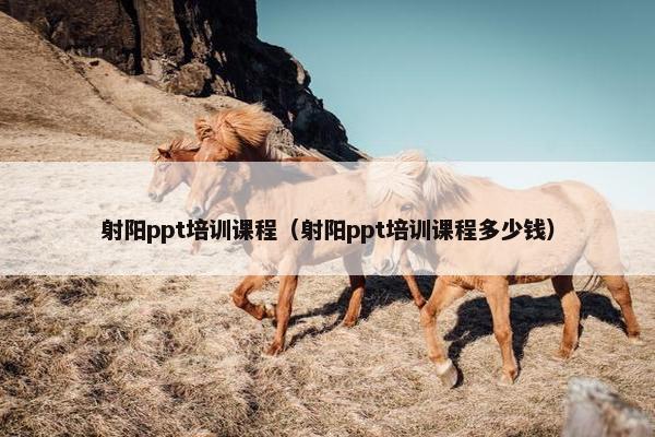 射阳ppt培训课程（射阳ppt培训课程多少钱）