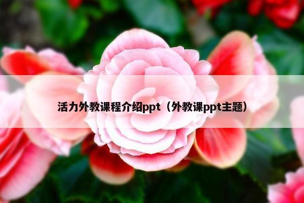 活力外教课程介绍ppt（外教课ppt主题）