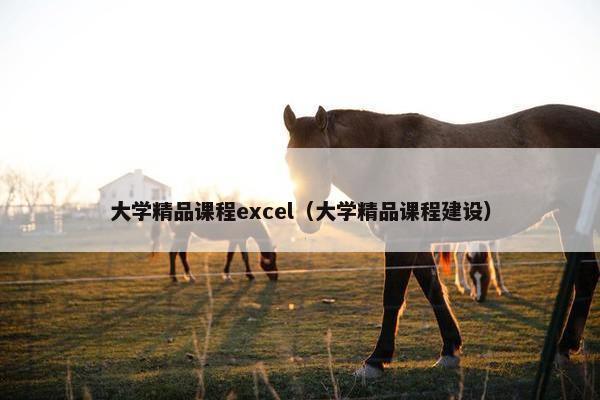 大学精品课程excel（大学精品课程建设）