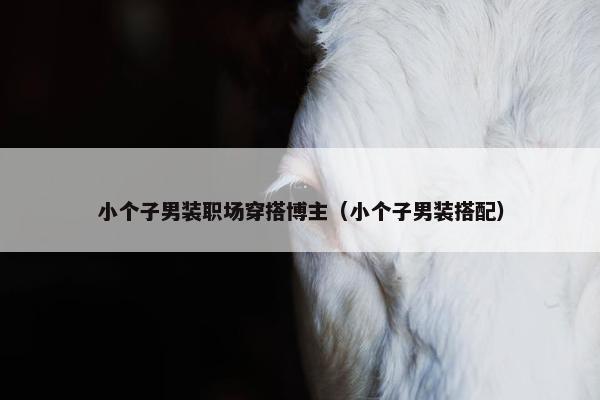 小个子男装职场穿搭博主（小个子男装搭配）