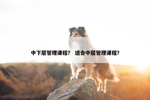 中下层管理课程？ 适合中层管理课程？