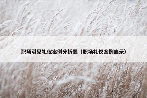 职场引见礼仪案例分析题（职场礼仪案例启示）
