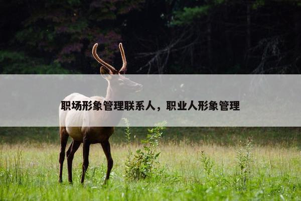 职场形象管理联系人，职业人形象管理