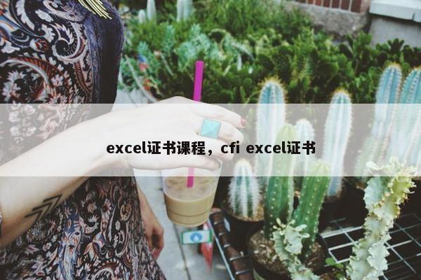 excel证书课程，cfi excel证书