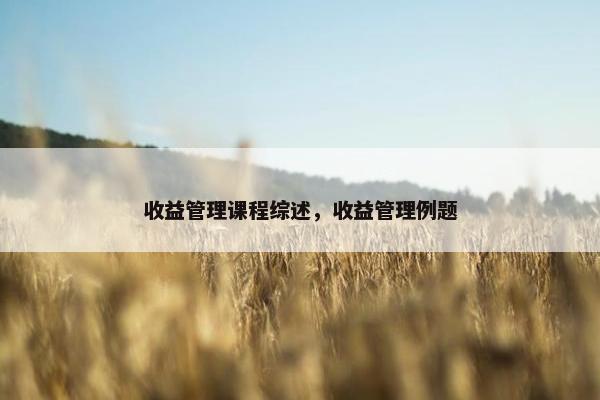 收益管理课程综述，收益管理例题