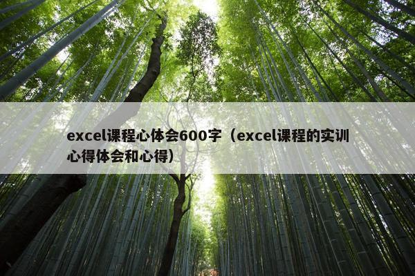 excel课程心体会600字（excel课程的实训心得体会和心得）