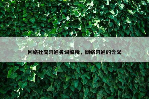 网络社交沟通名词解释，网络沟通的含义