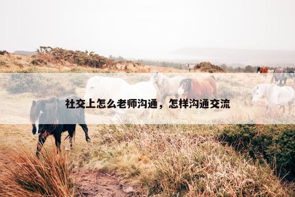 社交上怎么老师沟通，怎样沟通交流