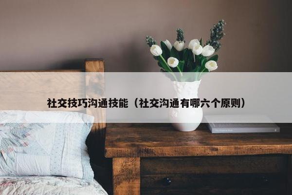 社交技巧沟通技能（社交沟通有哪六个原则）