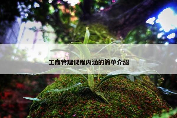 工商管理课程内涵的简单介绍