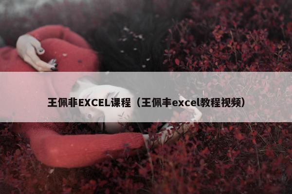 王佩非EXCEL课程（王佩丰excel教程视频）