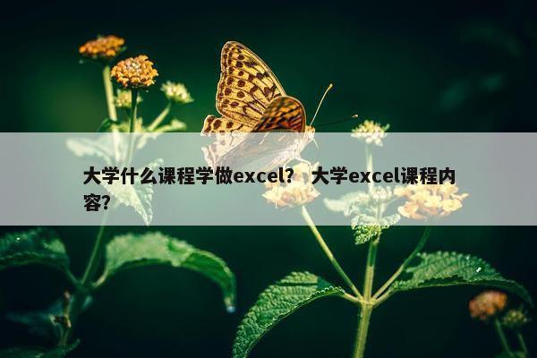 大学什么课程学做excel？ 大学excel课程内容？