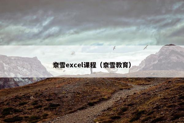 奈雪excel课程（奈雪教育）