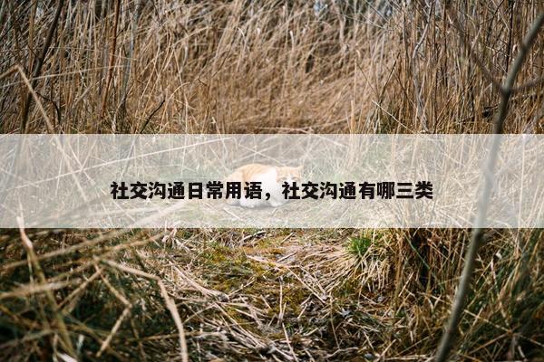 社交沟通日常用语，社交沟通有哪三类