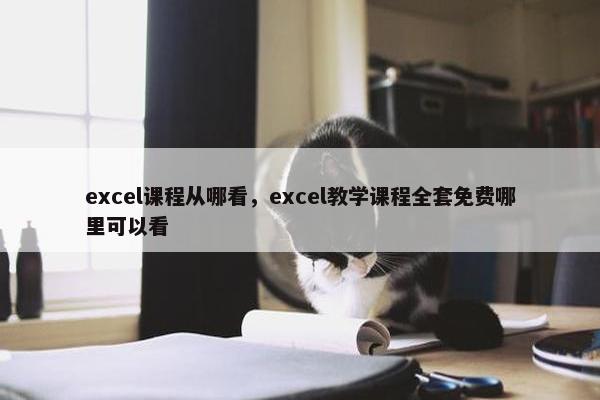 excel课程从哪看，excel教学课程全套免费哪里可以看