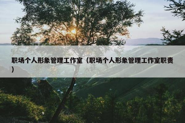 职场个人形象管理工作室（职场个人形象管理工作室职责）