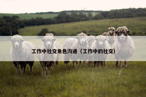 工作中社交角色沟通（工作中的社交）
