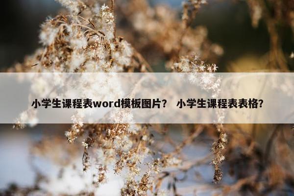 小学生课程表word模板图片？ 小学生课程表表格？