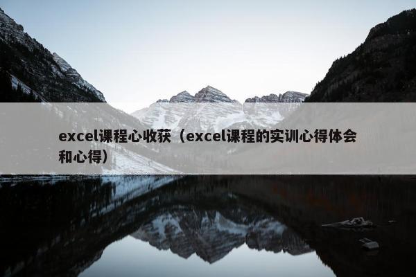 excel课程心收获（excel课程的实训心得体会和心得）