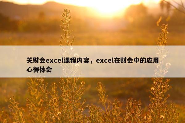 关财会excel课程内容，excel在财会中的应用心得体会
