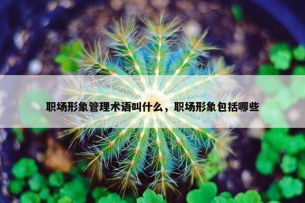 职场形象管理术语叫什么，职场形象包括哪些