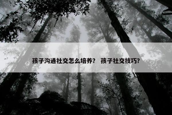 孩子沟通社交怎么培养？ 孩子社交技巧？