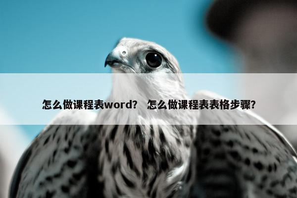 怎么做课程表word？ 怎么做课程表表格步骤？
