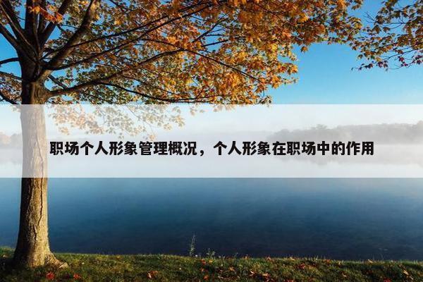 职场个人形象管理概况，个人形象在职场中的作用