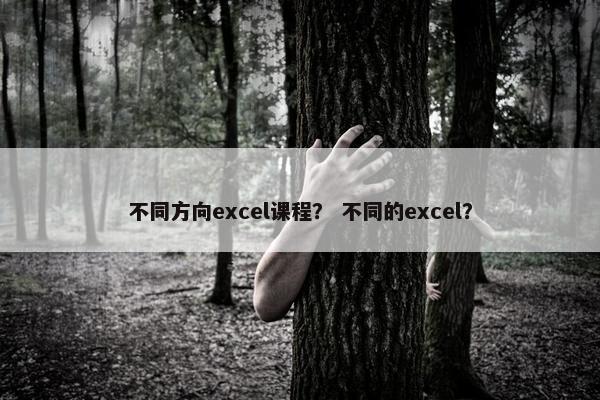 不同方向excel课程？ 不同的excel？
