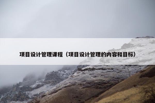项目设计管理课程（项目设计管理的内容和目标）
