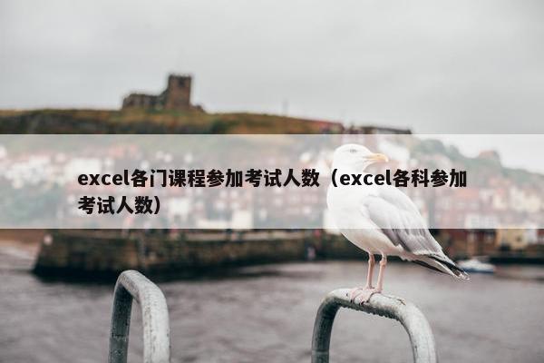 excel各门课程参加考试人数（excel各科参加考试人数）