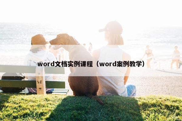 word文档实例课程（word案例教学）