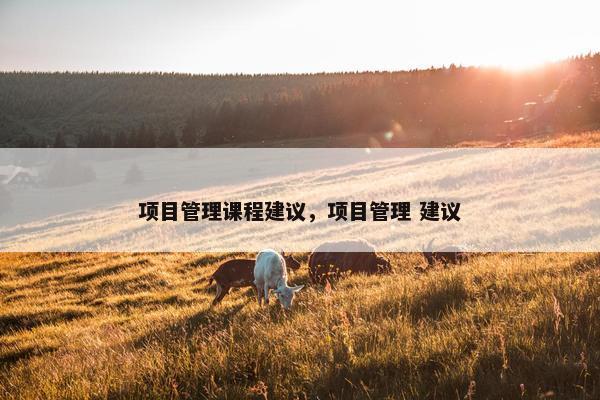 项目管理课程建议，项目管理 建议
