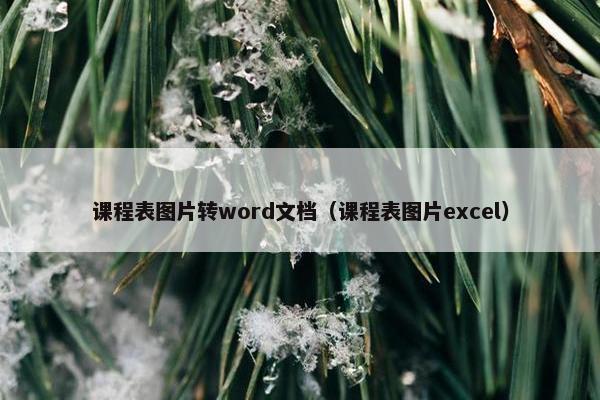 课程表图片转word文档（课程表图片excel）