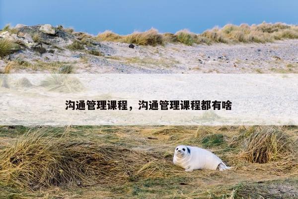 沟通管理课程，沟通管理课程都有啥