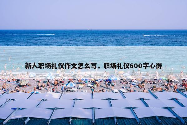 新人职场礼仪作文怎么写，职场礼仪600字心得