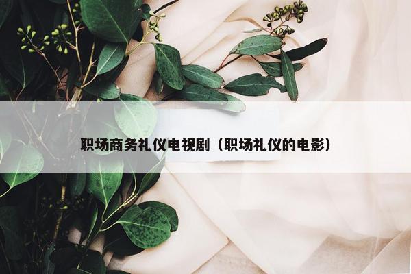 职场商务礼仪电视剧（职场礼仪的电影）