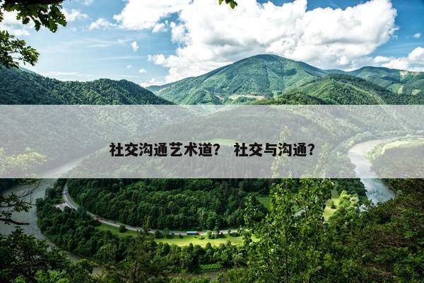 社交沟通艺术道？ 社交与沟通？