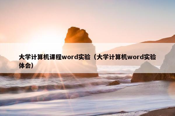 大学计算机课程word实验（大学计算机word实验体会）