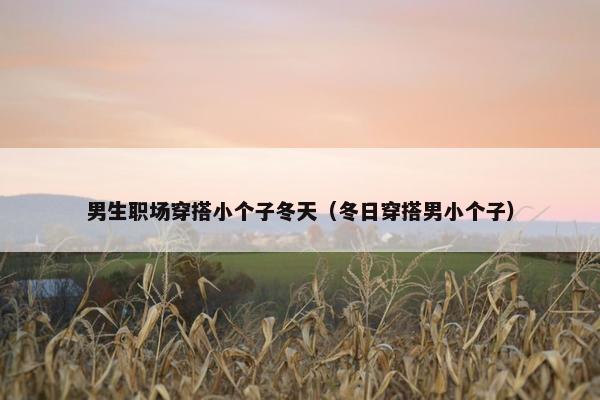 男生职场穿搭小个子冬天（冬日穿搭男小个子）