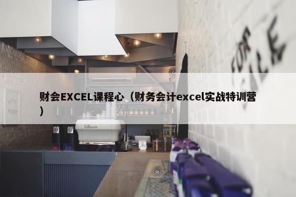 财会EXCEL课程心（财务会计excel实战特训营）