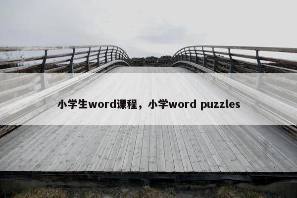 小学生word课程，小学word puzzles