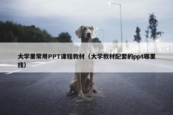 大学里常用PPT课程教材（大学教材配套的ppt哪里找）