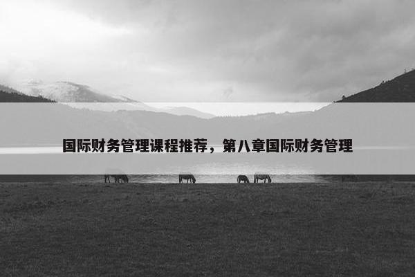 国际财务管理课程推荐，第八章国际财务管理