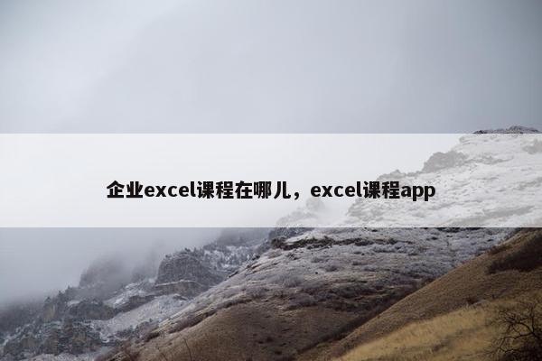 企业excel课程在哪儿，excel课程app